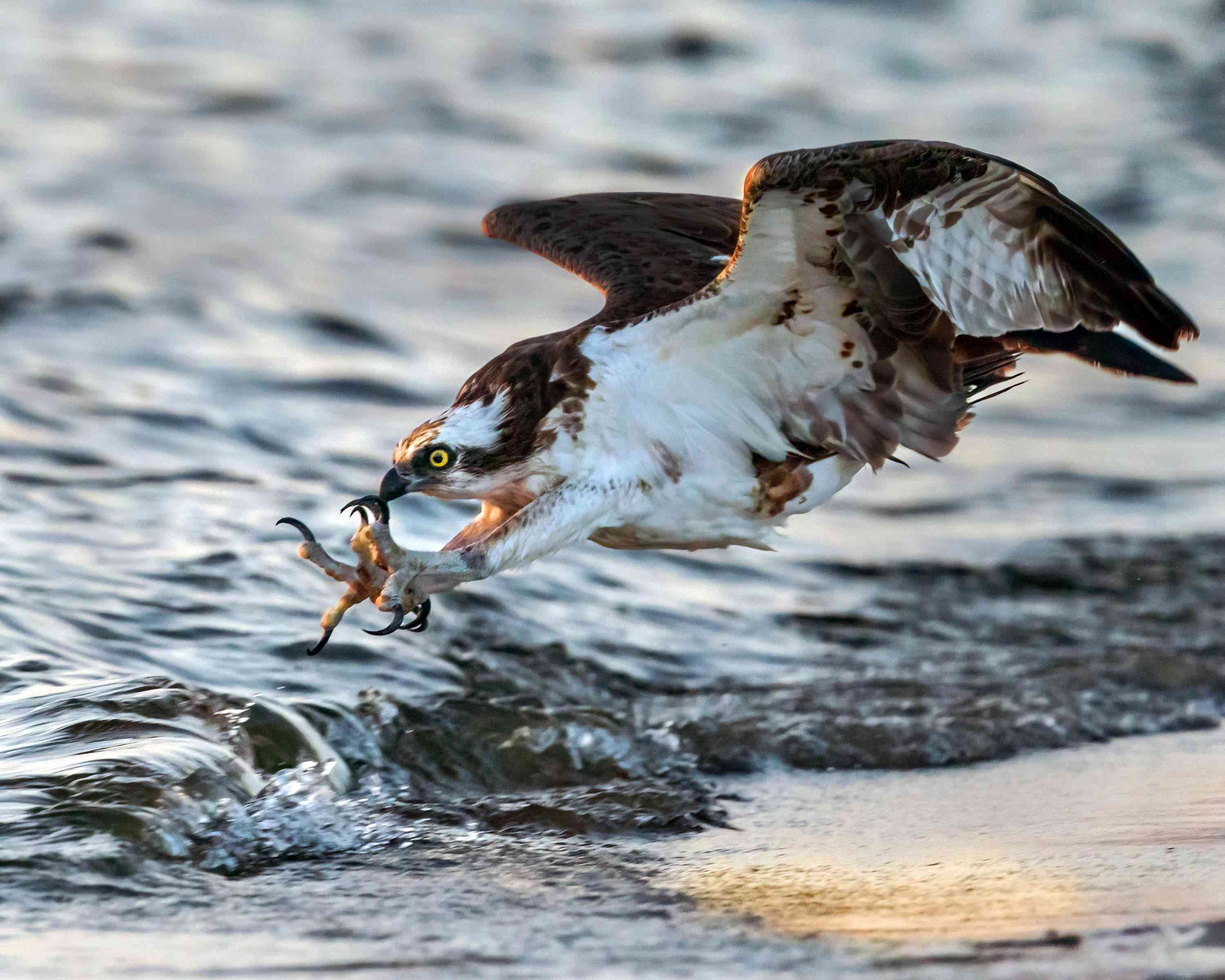 Duane-Loveland_Brecks-Mil-on-Brandywine